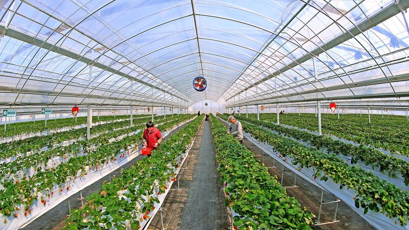 温室保温被厚度如何选择？标准解析**