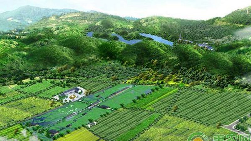 农民专业合作社贷款贴息政策：助力农业发展的关键一环**