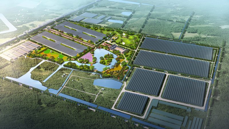 冬季温室种植温湿度调控关键点解析