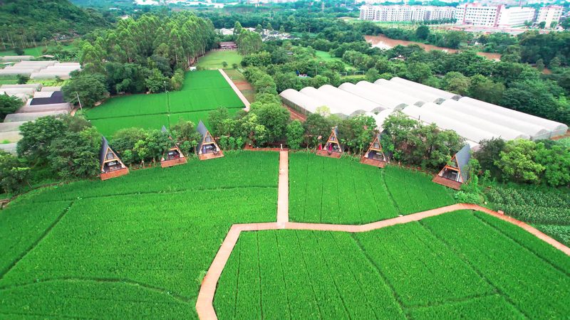 农机专业合作社章程范本：构建规范运营的基石