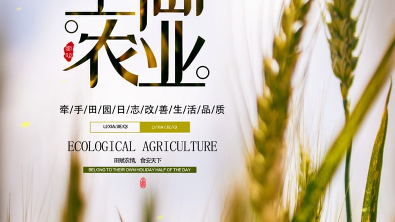 生态农业加盟项目，如何甄别优质之选？**
