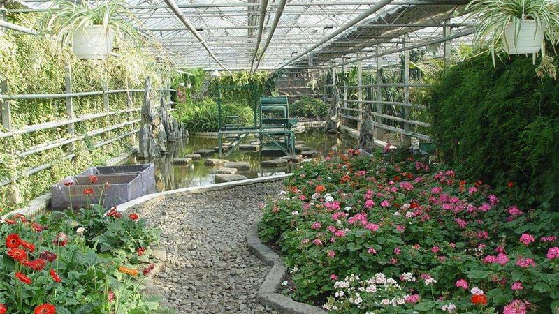 果园生物防治：绿色防控的关键步骤与注意事项