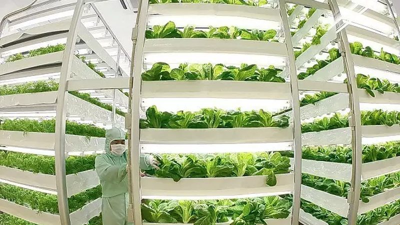 企业食堂配送供应商，这十个名字背后的行业分化