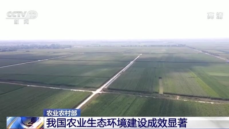 北京绿色食品公司靠谱指南：如何识别与选择**