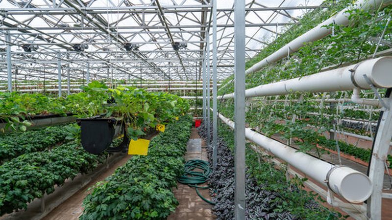 农业种植技术培训报名流程全解析