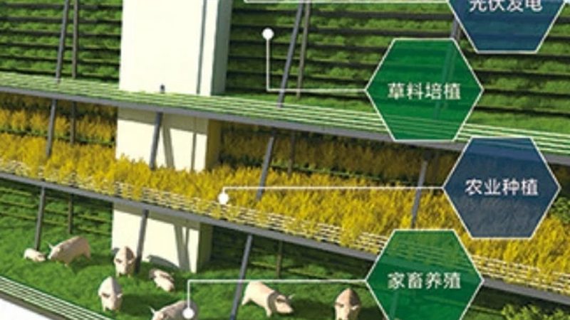 小型粮食种植加盟：揭秘加盟成本与盈利模式