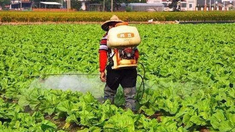 宝宝有机蔬菜泥，营养健康第一步